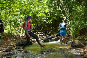 BIB: 
                            <button type="button" onclick="openModal(21842360)" class="btn btn-primary btn-sm float-right btn-popup" data-toggle="modal" data-target=".modal-high-quality">
                        <i class="fas fa-shopping-cart"></i> Add to Cart
                    </button>
                                            <button type="button" onclick="isThisMe(21842360, true)" class="btn btn-success btn-sm float-right btn-popup btn-isme hidden" data-toggle="tooltip" data-placement="bottom" title="นี่คือรูปของคุณใช่ไหม คลิกที่นี่เพื่อเอาเข้าอัลบั้ม">
                        <i class="fas fa-plus"></i> Add to album
                    </button>
                    <button type="button" onclick="isThisMe(21842360, false)" class="btn btn-warning btn-sm float-right btn-popup btn-isnotme hidden">
                        <i class="fas fa-ban"></i> Remove from album
                    </button>